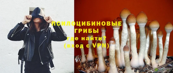 сатива Богданович