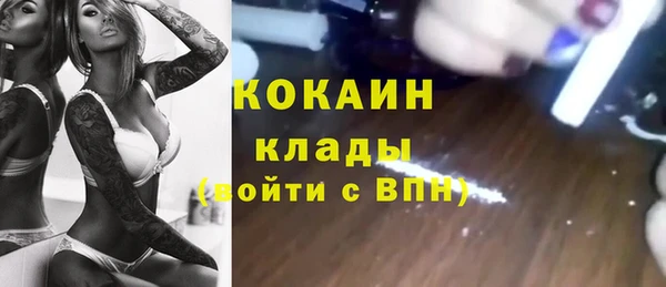 сатива Богданович