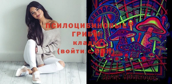 сатива Богданович