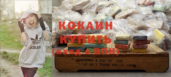 сатива Богданович