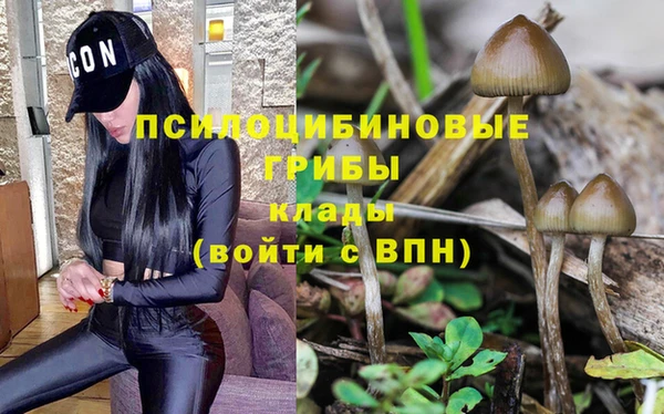 сатива Богданович