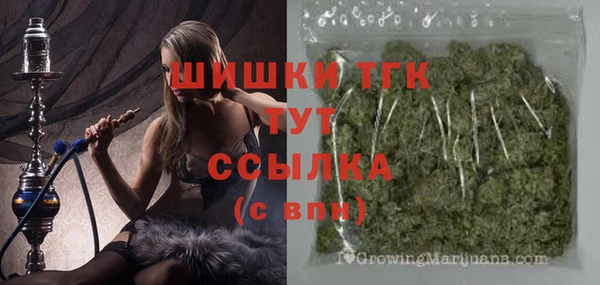 сатива Богданович